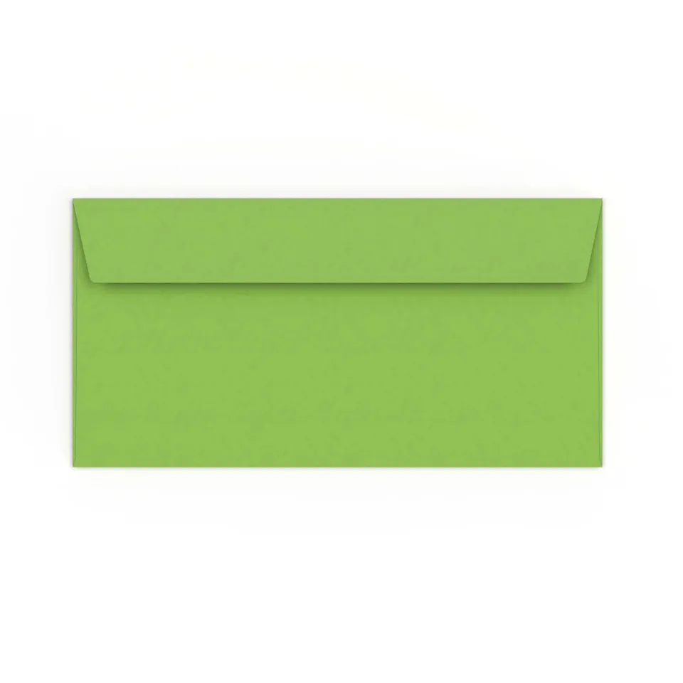 enveloppes-france-enveloppes-color-es-verte-vive-dl-110x220-mm image 1