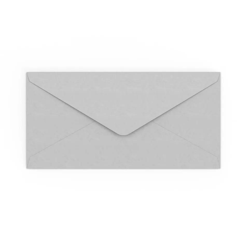 enveloppes-france-enveloppes-color-es-dl-110x220-enveloppe-grise-p-le image 1