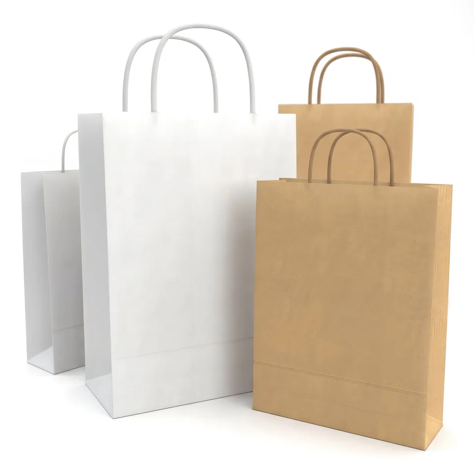 enveloppes-france-sachets-en-papier-sac-kraft-blanc-215x190-mm image 1