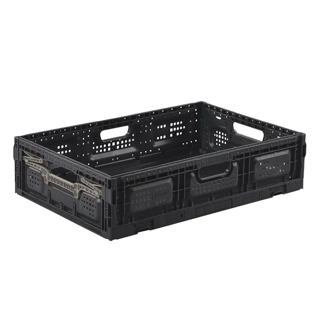 pack-and-move-bac-pliable-40x60x15-cm-31l-15-kg-robuste image 1