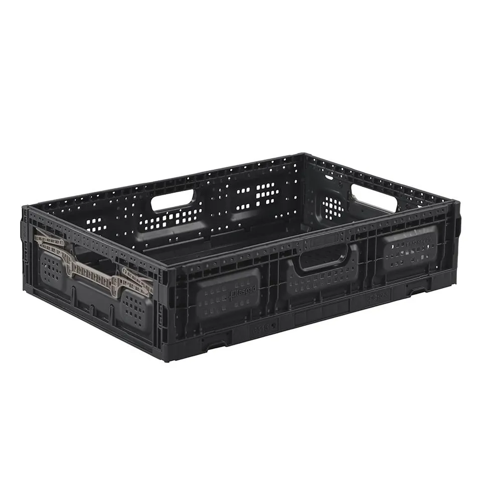 pack-and-move-bac-pliable-40x60x15-cm-31l-15-kg-robuste image 1