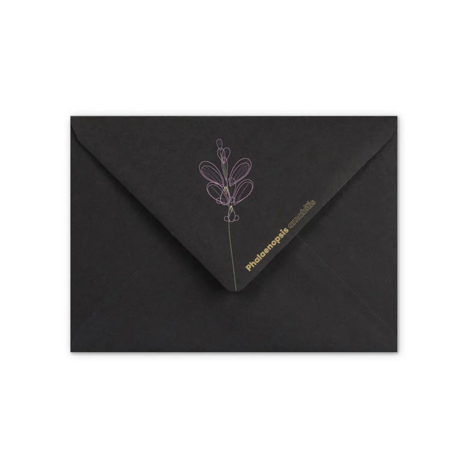 enveloppes-france-enveloppe-orchid-e-noire-c6-162x114-mm image 1