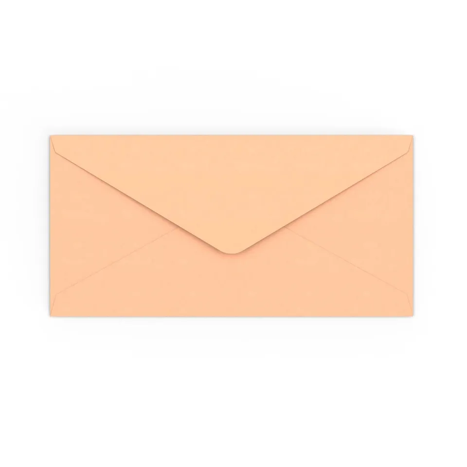 enveloppes-france-saumon-rose-110x220-mm-enveloppe-dl image 1