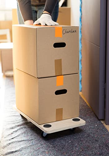 pack-and-move-chariots-transport-150-kg-60x30-cm-lot-4 image 5
