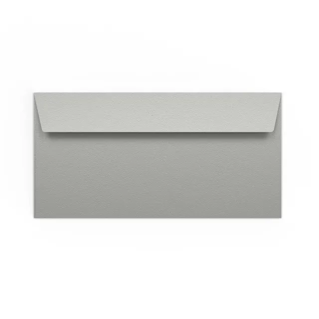 enveloppes-france-colorees-dl-enveloppe-110x220-mm-argentee image 1