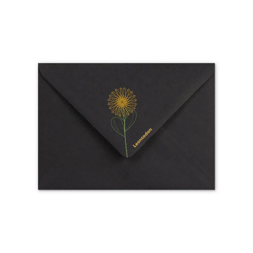 enveloppes-france-pissenlit-enveloppe-noire-c6-120g-motif image 1