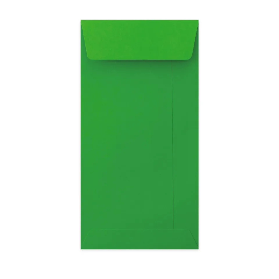 enveloppes-france-color-es-enveloppe-verte-dl-220x110-poche image 1