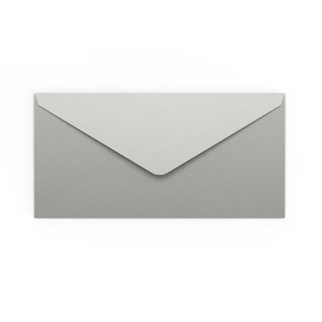 enveloppes-france-color-es-dl-enveloppe-argent-e-110x220-mm image 1