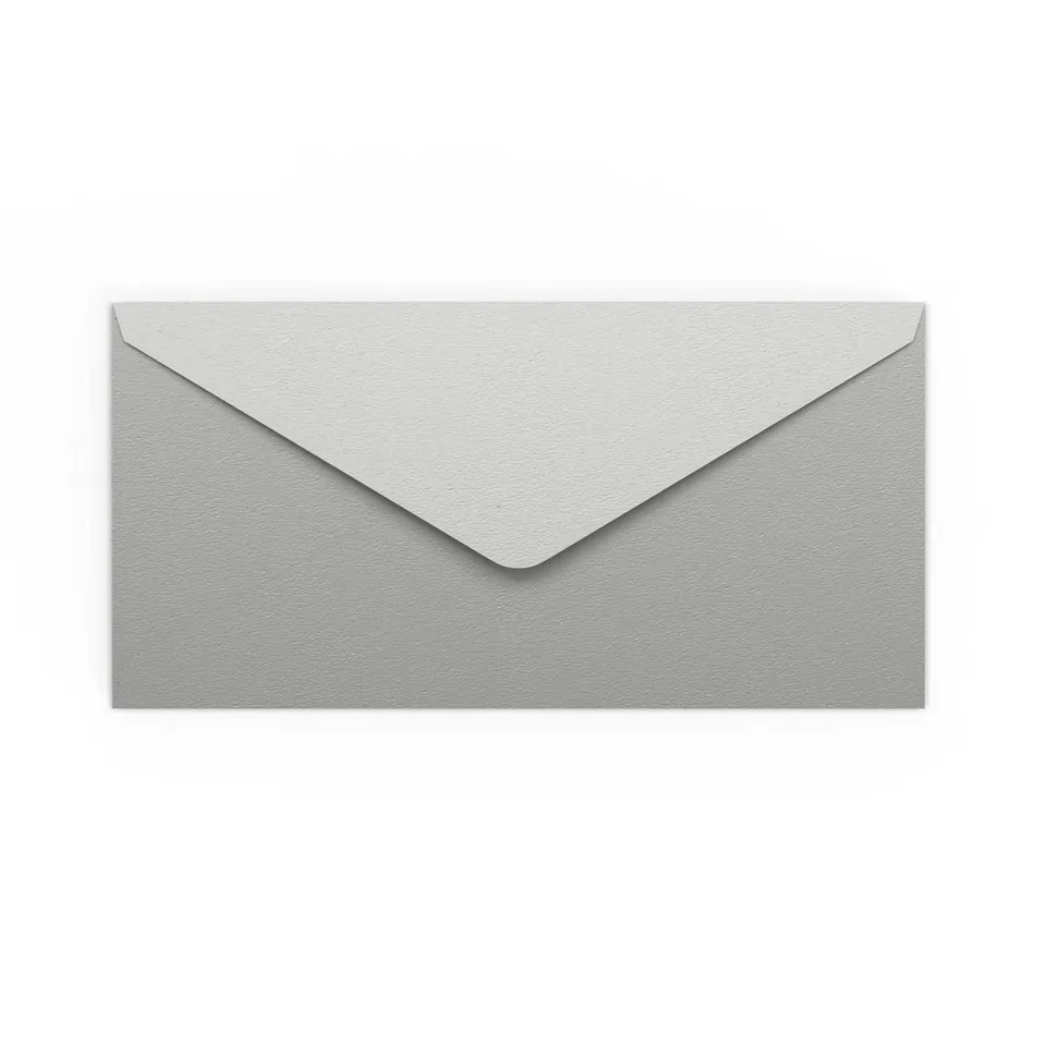 enveloppes-france-color-es-dl-enveloppe-argent-e-110x220-mm image 1