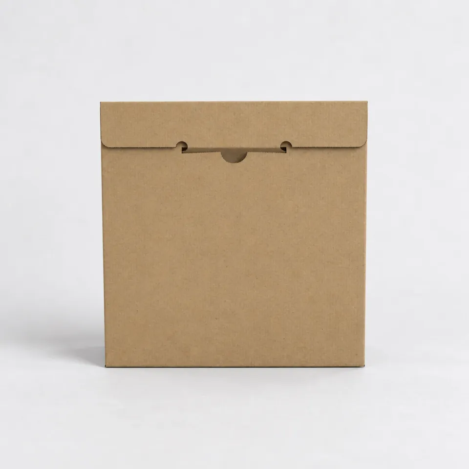 enveseur-sacs-plastique-pochette-vinyle-rigide-325x325x15-mm image 1