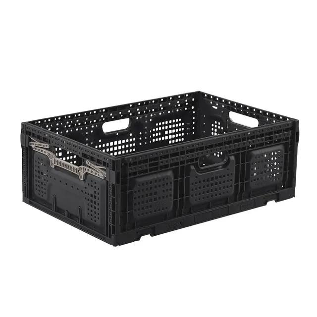 pack-and-move-bac-pliable-40x60x22-cm-46l-20-kg-robuste image 1