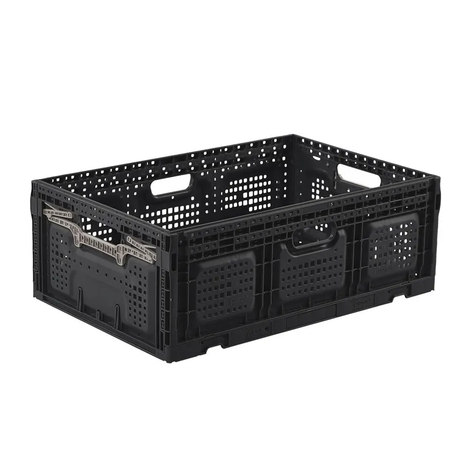 pack-and-move-bac-pliable-40x60x22-cm-46l-20-kg-robuste image 1