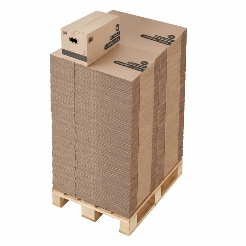 pack-and-move-cartons-de-stockage-lot-600-60x30x30-cm-54l image 1