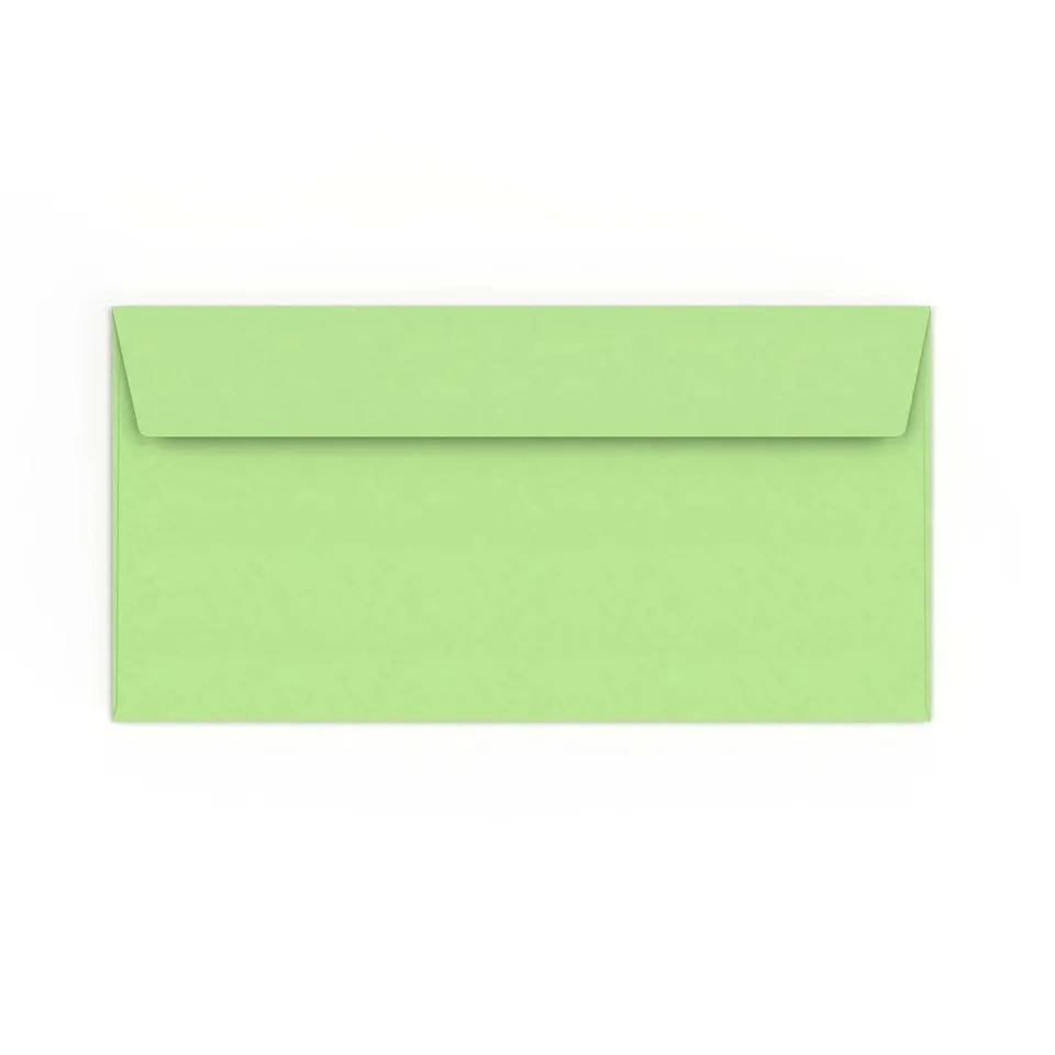 enveloppes-france-enveloppes-color-es-verte-p-le-110x220-mm-dl image 1