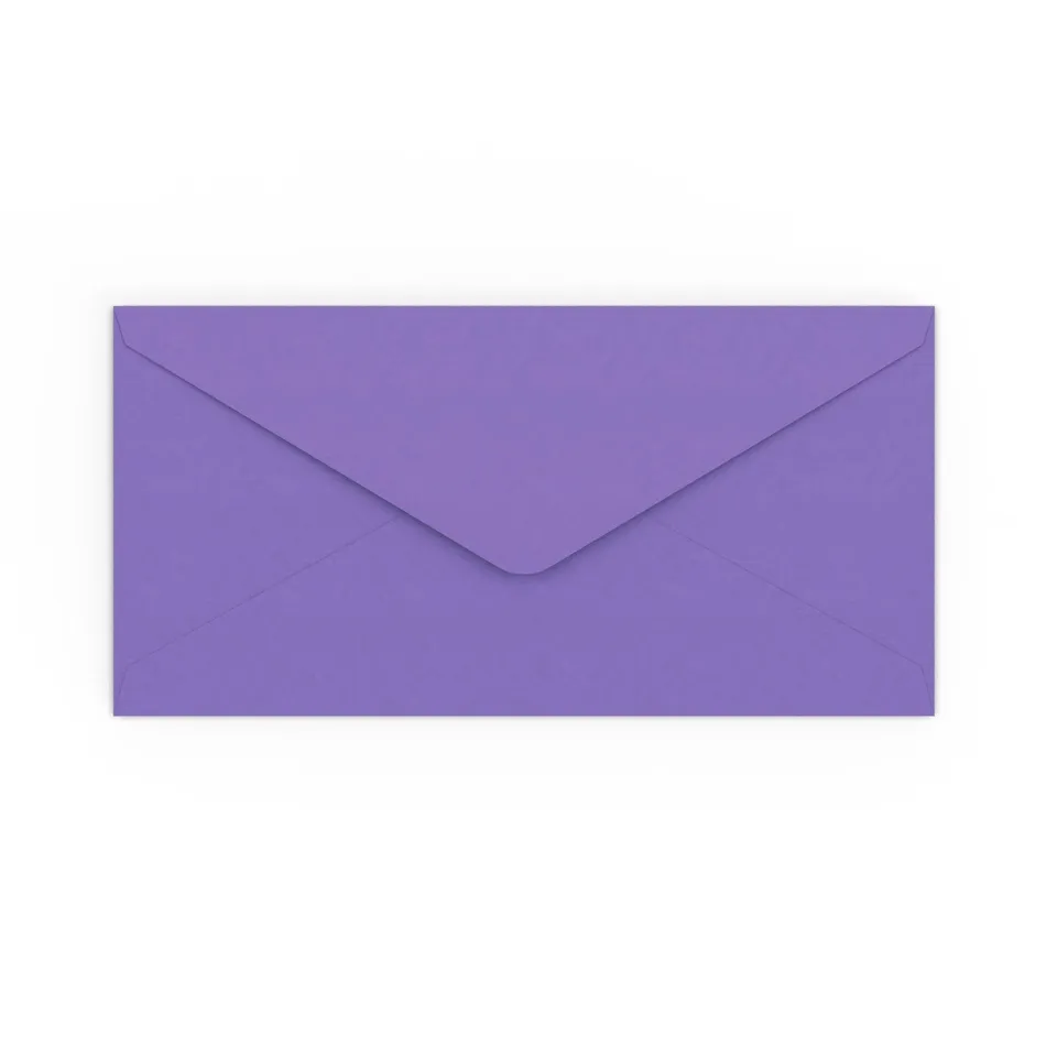enveloppes-france-enveloppe-violette-110x220-mm-dl-couleur image 1