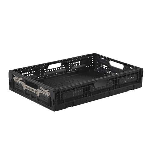 pack-and-move-bac-pliable-40x60x11-5-cm-23l-10-kg-plat image 7