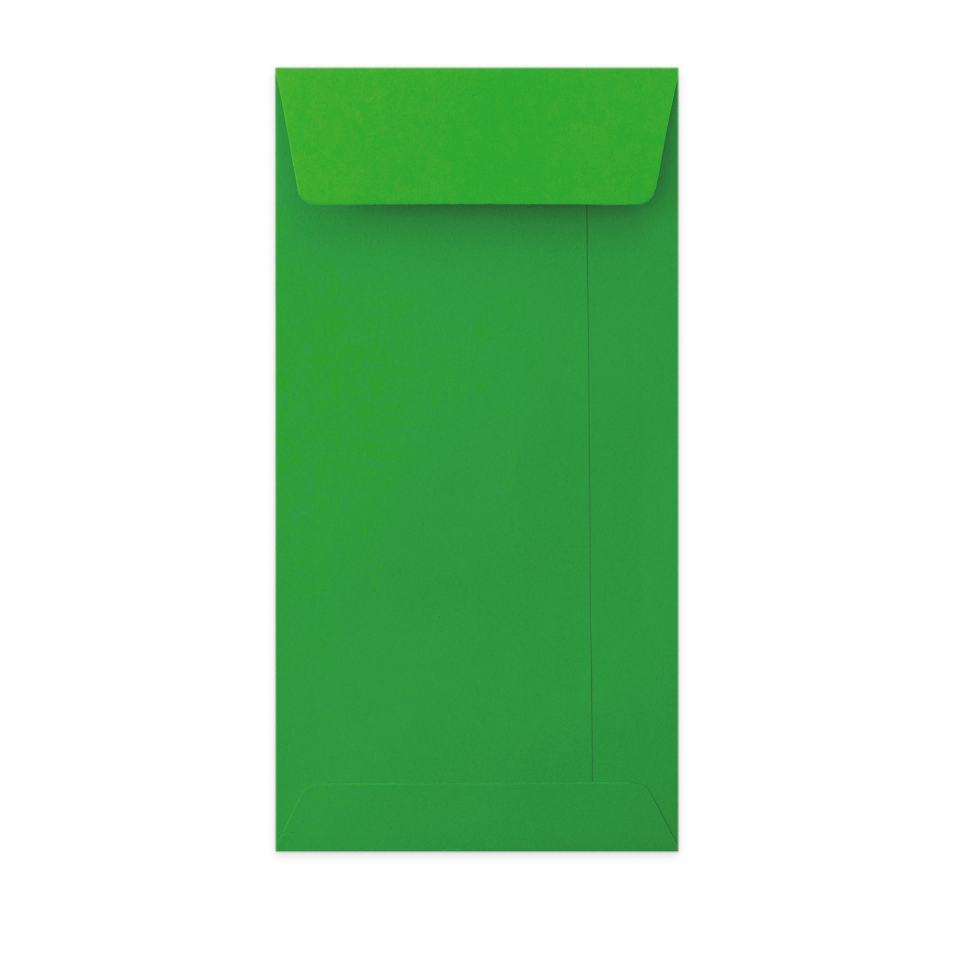enveloppes-france-color-es-enveloppe-verte-dl-220x110-poche image 1