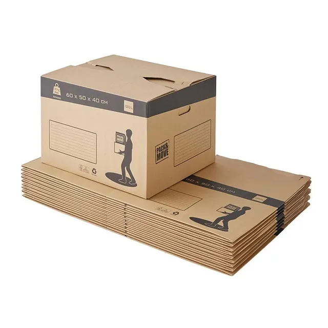pack-and-move-cartons-d-m-nagement-auto-60x50x40-lot-10 image 1