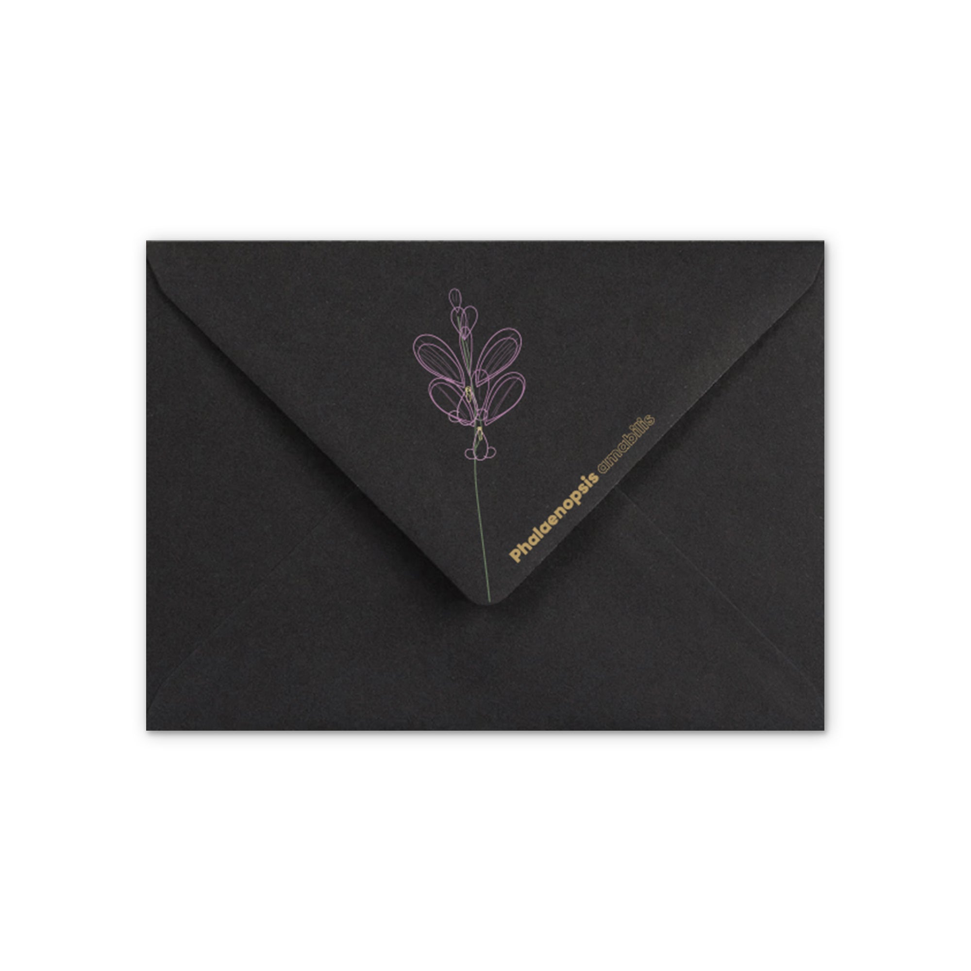 enveloppes-france-enveloppe-orchid-e-noire-c6-162x114-mm image 1